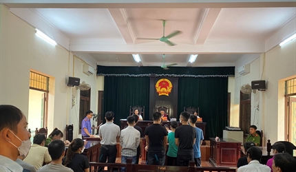 Viện KSND các huyện Phúc Thọ, Thanh Oai phối hợp với Tòa án cùng cấp tổ...